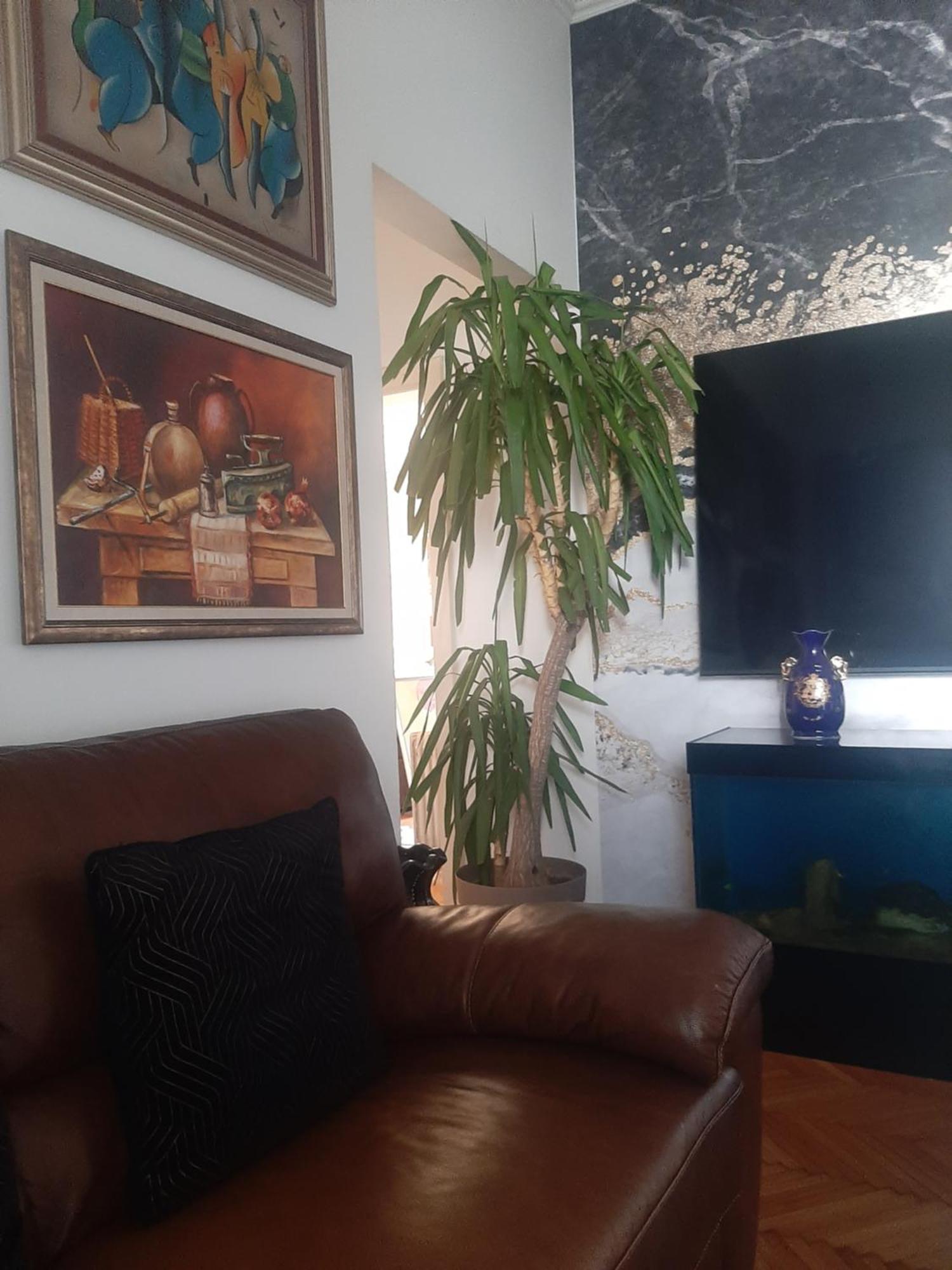 Stylish King Downtown Apartman Podgorica Kültér fotó